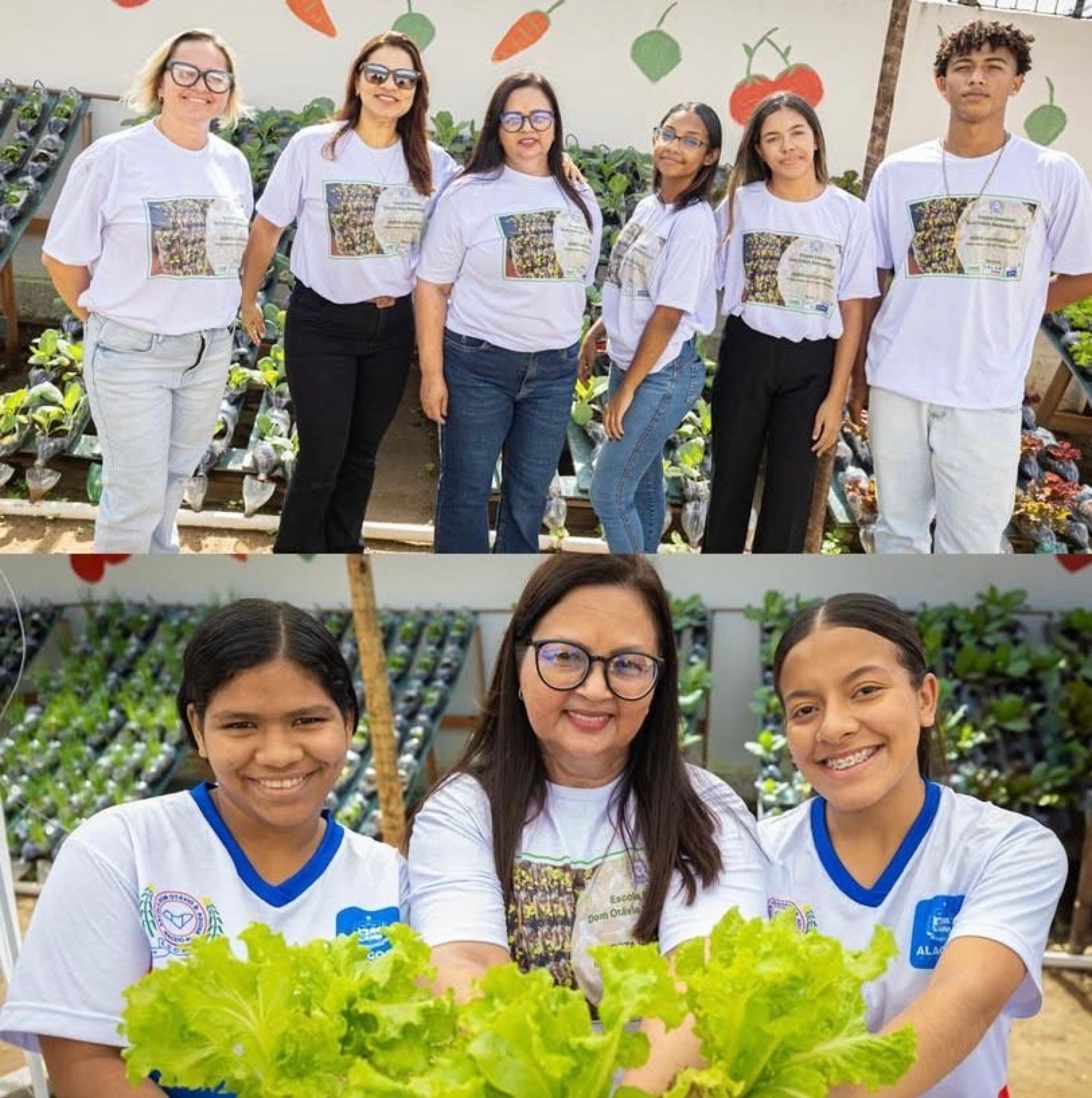 startup-alagoana-inaugura-projeto-de-hortas-hidroponicas-em-escola-publica-scaled