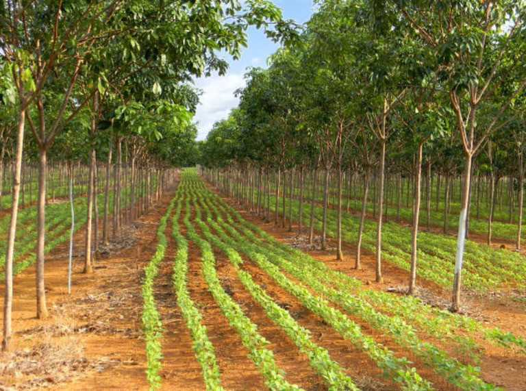 237b42f2-f2e4-4e70-9288-23e1df986f0c