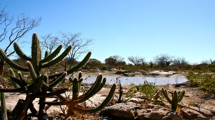 SEMIARIDO_NOVA_DELIMITACAO