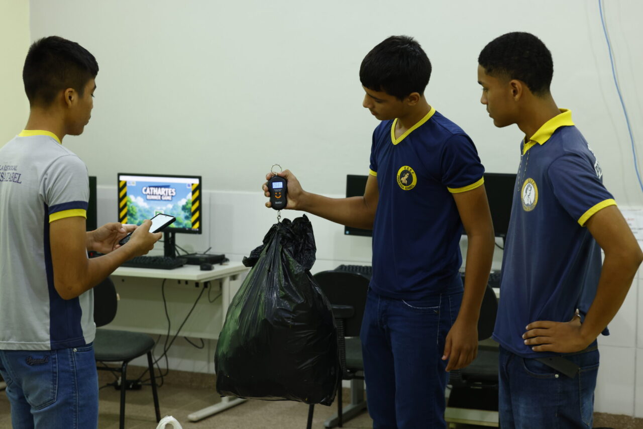 Projeto-Cathartes-01.10-91