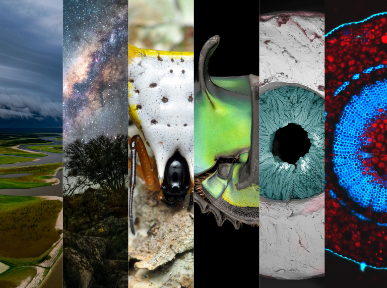 6b0e93bf-1eb3-4fa6-920b-a31e9babcecd