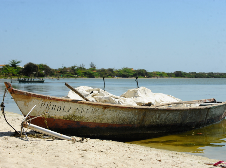 c031e5fb-e13f-4733-b9af-d062dc764666