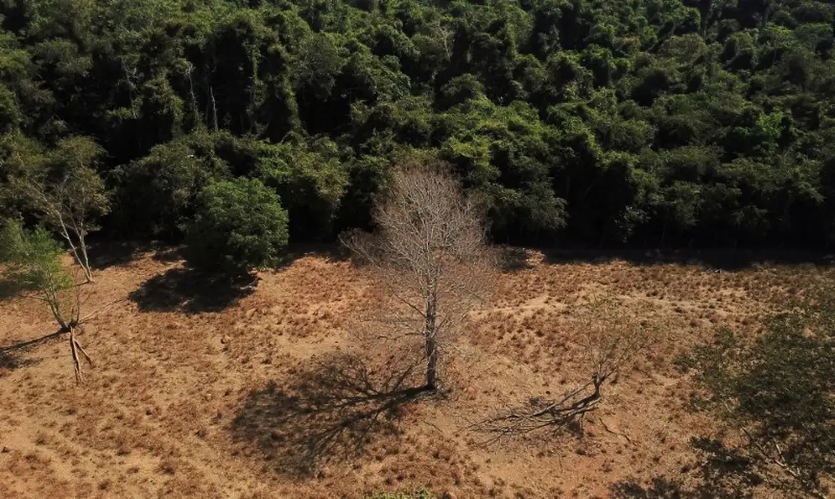 2023-01-04t011928z_1_lynxmpej0300u_rtroptp_3_brazil-environment.jpg