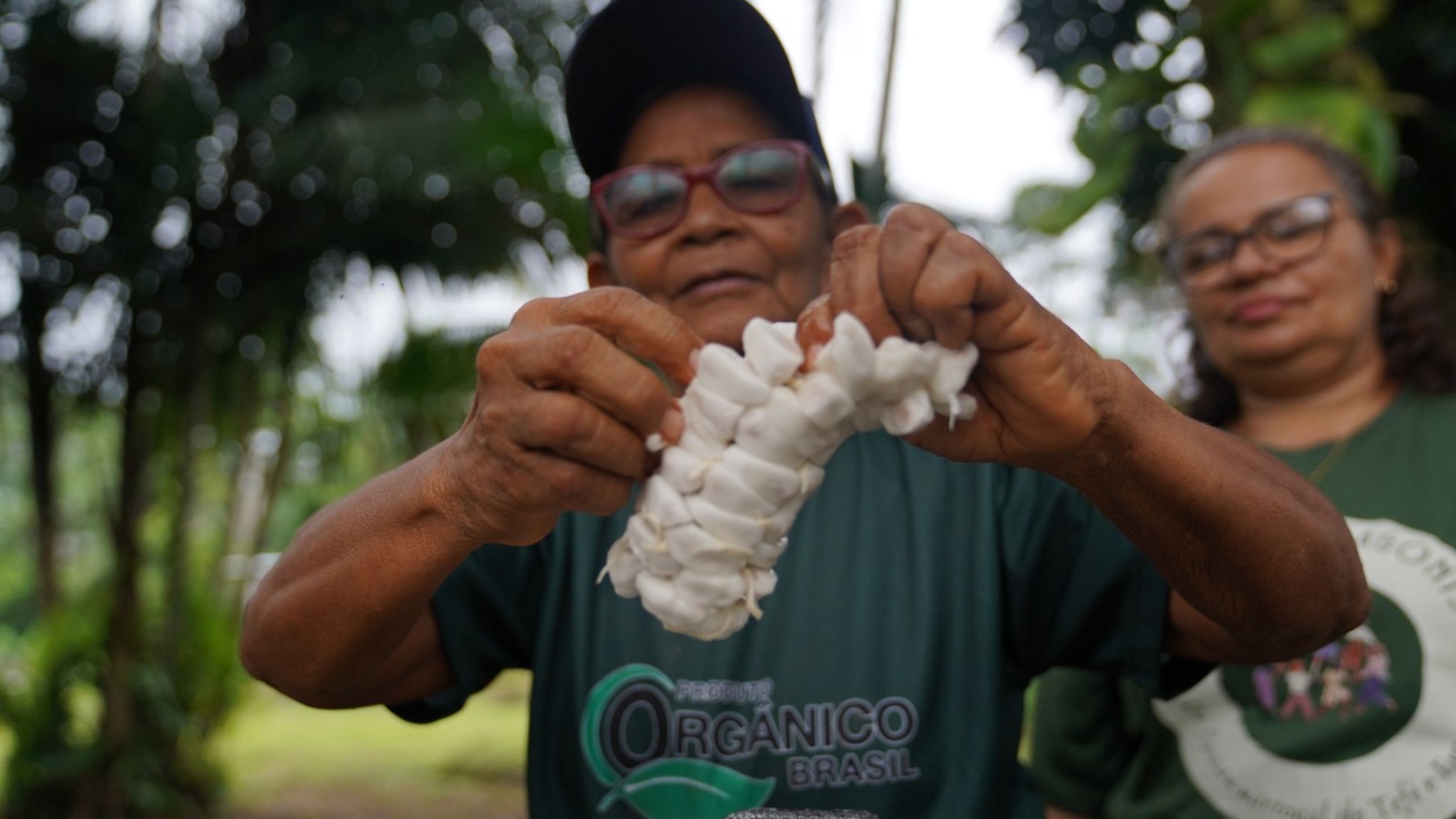 d3a52b09-b75c-4924-9d67-964bcbca6cc8