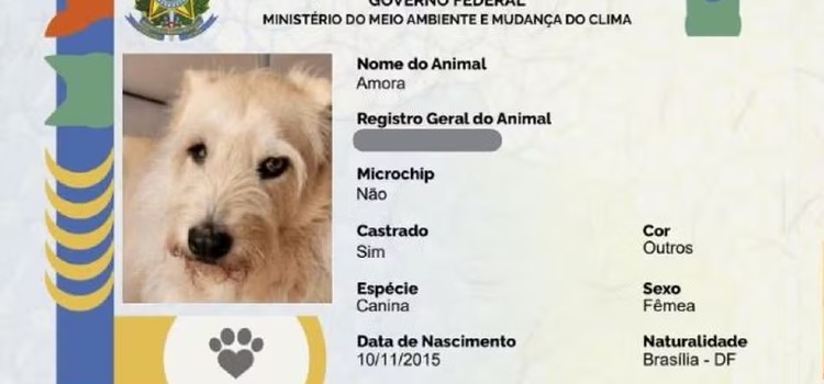 identidade_caes