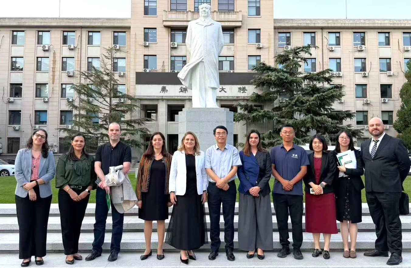 china 01 (2)