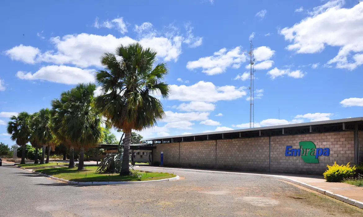 embrapa_petrolina_1